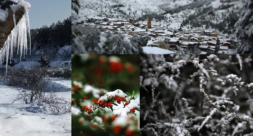 Vandellós Cal Barcelo旅馆 乡村民宿